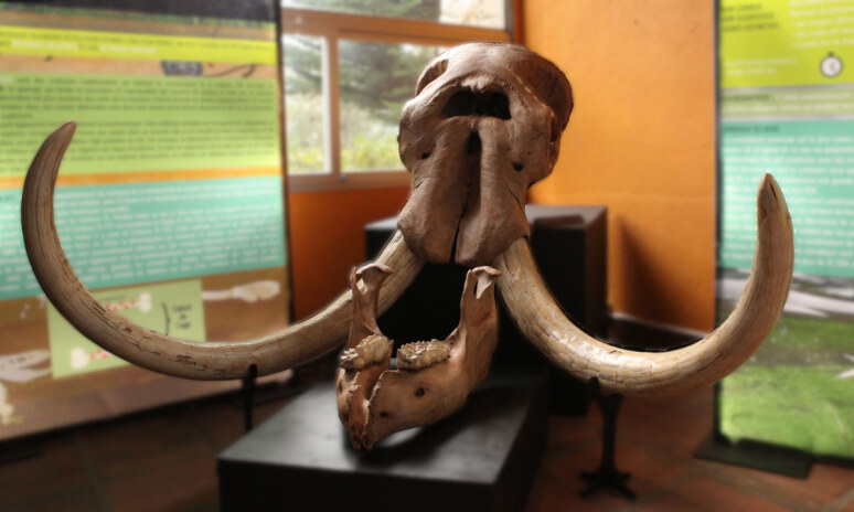 Lieux Insolites en Occitanie !